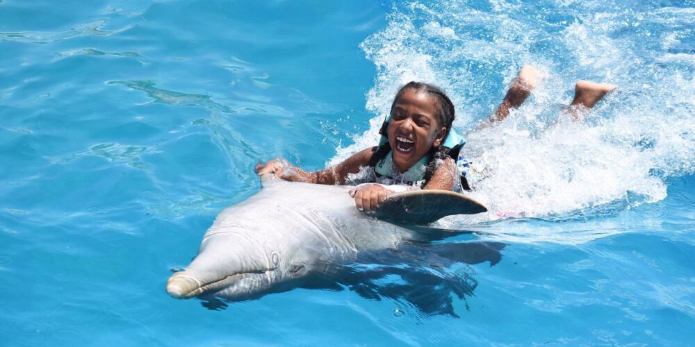 Memorable dolphin swim experience, with participants interacting closely with friendly dolphins in a controlled, shallow-water environment, enjoying the unique opportunity to swim, play, and bond with these intelligent marine animals