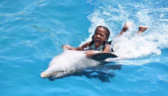 Memorable dolphin swim experience, with participants interacting closely with friendly dolphins in a controlled, shallow-water environment, enjoying the unique opportunity to swim, play, and bond with these intelligent marine animals