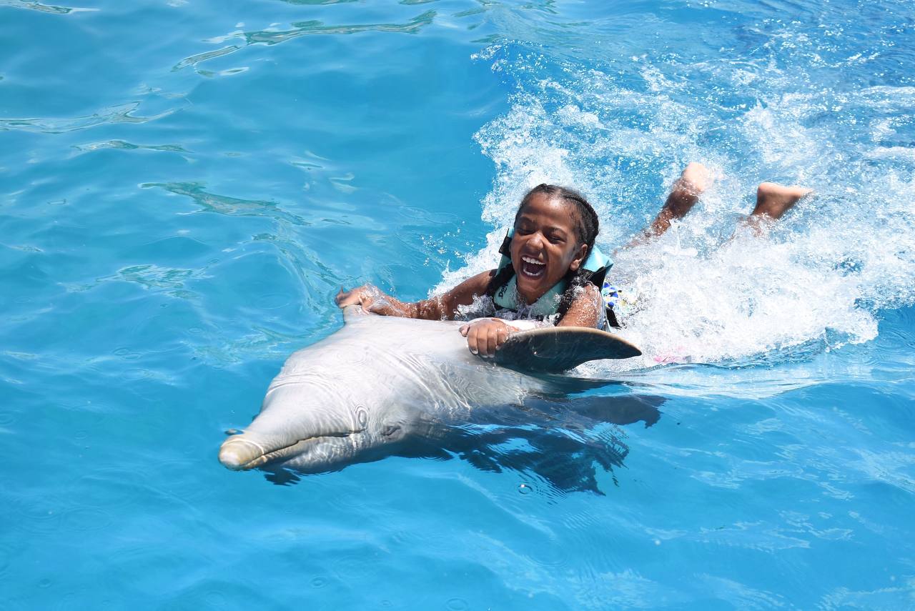 Dolphin Swim in Punta Cana