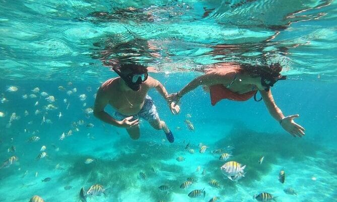Exciting aquatic adventure featuring a combination of sailing splash activities, speed boat rides, snorkeling explorations, and relaxing catamaran cruises, offering a diverse range of experiences on the water with vibrant marine life and stunning ocean views