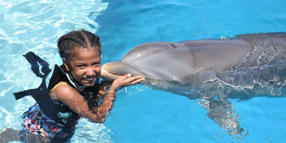 Memorable dolphin swim experience, with participants interacting closely with friendly dolphins in a controlled, shallow-water environment, enjoying the unique opportunity to swim, play, and bond with these intelligent marine animals