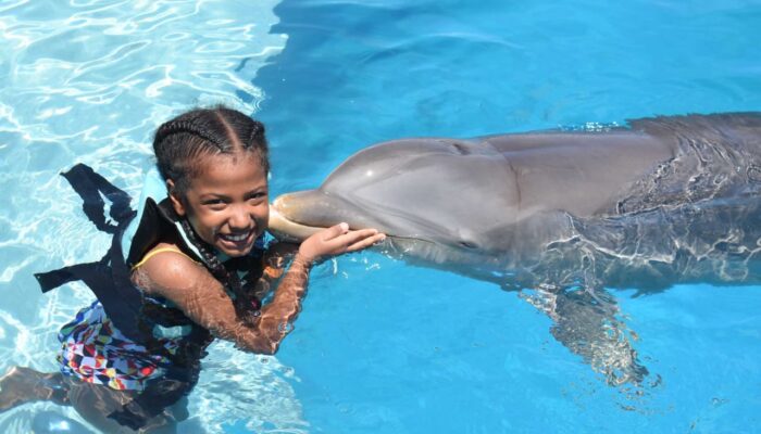 Memorable dolphin swim experience, with participants interacting closely with friendly dolphins in a controlled, shallow-water environment, enjoying the unique opportunity to swim, play, and bond with these intelligent marine animals