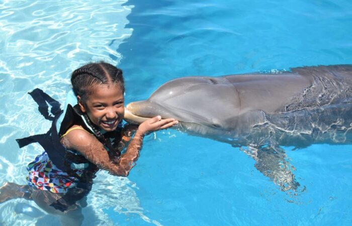 Memorable dolphin swim experience, with participants interacting closely with friendly dolphins in a controlled, shallow-water environment, enjoying the unique opportunity to swim, play, and bond with these intelligent marine animals