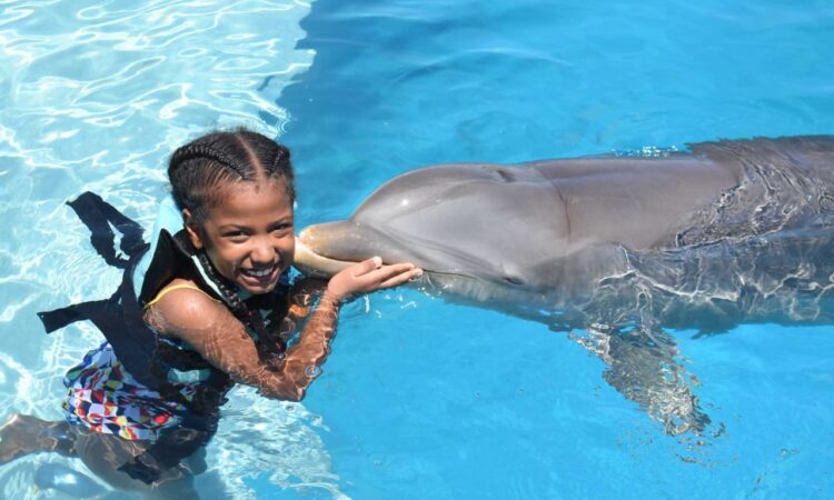 Memorable dolphin swim experience, with participants interacting closely with friendly dolphins in a controlled, shallow-water environment, enjoying the unique opportunity to swim, play, and bond with these intelligent marine animals