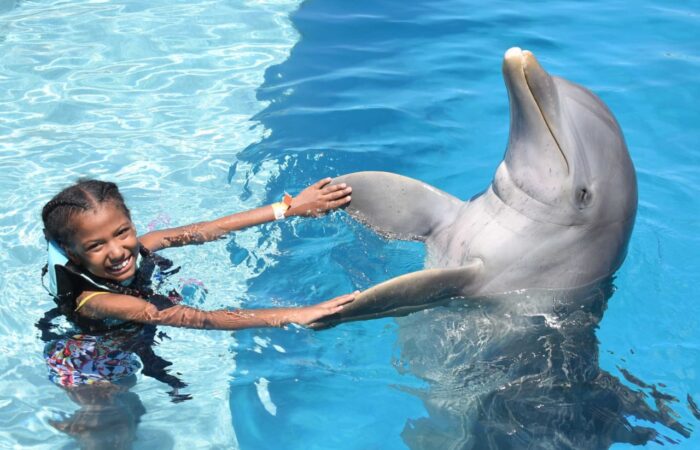 Memorable dolphin swim experience, with participants interacting closely with friendly dolphins in a controlled, shallow-water environment, enjoying the unique opportunity to swim, play, and bond with these intelligent marine animals