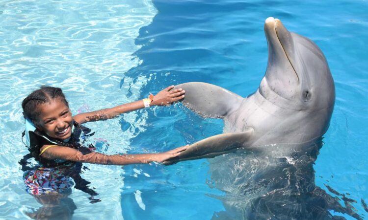 Memorable dolphin swim experience, with participants interacting closely with friendly dolphins in a controlled, shallow-water environment, enjoying the unique opportunity to swim, play, and bond with these intelligent marine animals