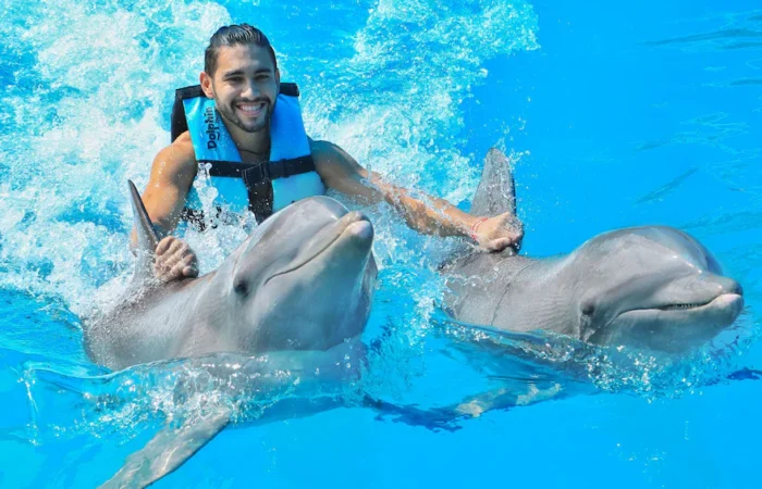 Memorable dolphin swim experience, with participants interacting closely with friendly dolphins in a controlled, shallow-water environment, enjoying the unique opportunity to swim, play, and bond with these intelligent marine animals.