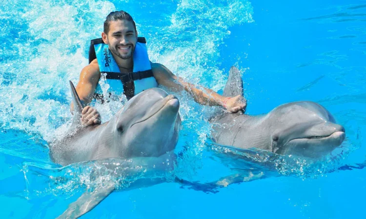 Memorable dolphin swim experience, with participants interacting closely with friendly dolphins in a controlled, shallow-water environment, enjoying the unique opportunity to swim, play, and bond with these intelligent marine animals.