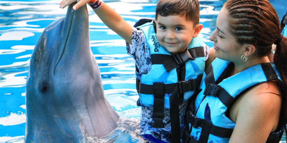 Memorable dolphin swim experience, with participants interacting closely with friendly dolphins in a controlled, shallow-water environment, enjoying the unique opportunity to swim, play, and bond with these intelligent marine animals