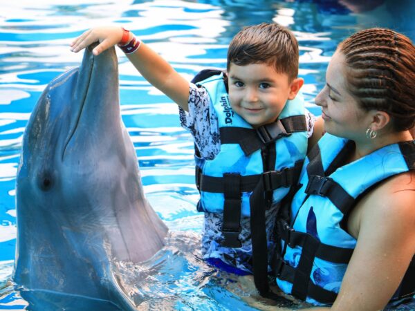 Memorable dolphin swim experience, with participants interacting closely with friendly dolphins in a controlled, shallow-water environment, enjoying the unique opportunity to swim, play, and bond with these intelligent marine animals