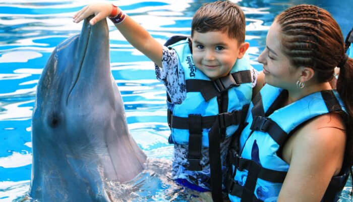 Memorable dolphin swim experience, with participants interacting closely with friendly dolphins in a controlled, shallow-water environment, enjoying the unique opportunity to swim, play, and bond with these intelligent marine animals