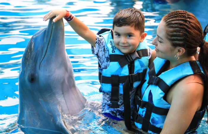 Memorable dolphin swim experience, with participants interacting closely with friendly dolphins in a controlled, shallow-water environment, enjoying the unique opportunity to swim, play, and bond with these intelligent marine animals