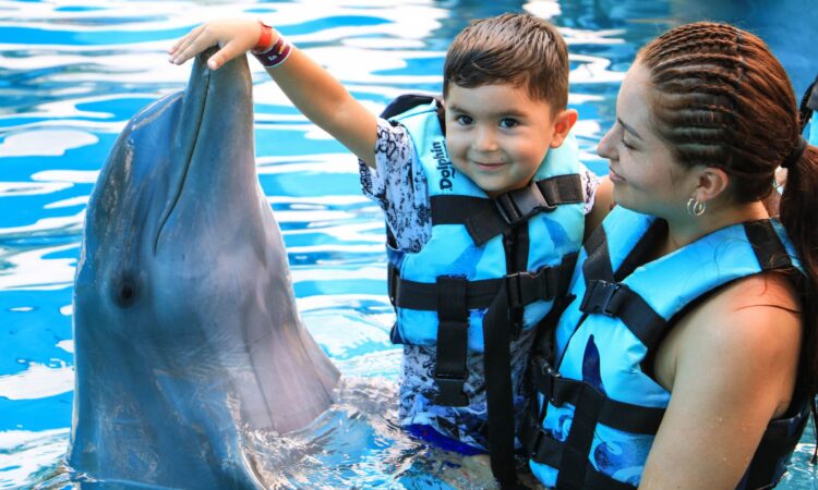 Memorable dolphin swim experience, with participants interacting closely with friendly dolphins in a controlled, shallow-water environment, enjoying the unique opportunity to swim, play, and bond with these intelligent marine animals