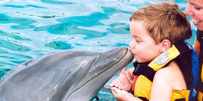 Memorable dolphin swim experience, with participants interacting closely with friendly dolphins in a controlled, shallow-water environment, enjoying the unique opportunity to swim, play, and bond with these intelligent marine animals