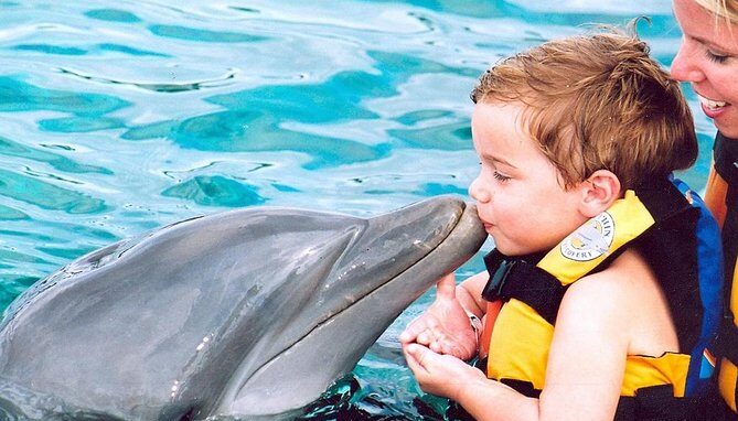 Memorable dolphin swim experience, with participants interacting closely with friendly dolphins in a controlled, shallow-water environment, enjoying the unique opportunity to swim, play, and bond with these intelligent marine animals