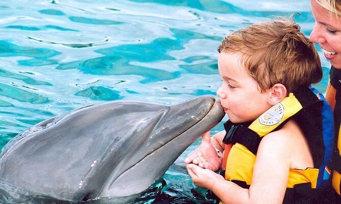 Memorable dolphin swim experience, with participants interacting closely with friendly dolphins in a controlled, shallow-water environment, enjoying the unique opportunity to swim, play, and bond with these intelligent marine animals