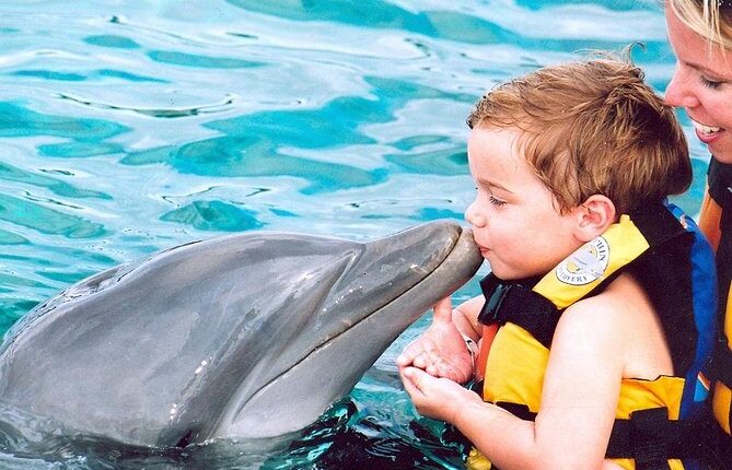 Memorable dolphin swim experience, with participants interacting closely with friendly dolphins in a controlled, shallow-water environment, enjoying the unique opportunity to swim, play, and bond with these intelligent marine animals