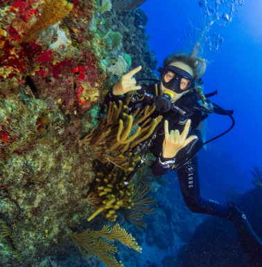 Certified divers exploring a vibrant coral reef and non-certified snorkelers observing colorful marine life in the clear waters of Catalina Island. A beachside Dominican buffet with refreshments is also visible, showcasing a tropical paradise setting.