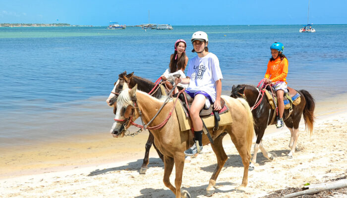 Scenic horse riding experience on the beach, with riders trotting along the shoreline, the gentle waves lapping at their feet, and the sun setting in the background, creating a tranquil and picturesque coastal adventure.