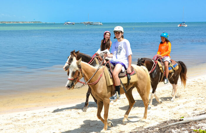 Scenic horse riding experience on the beach, with riders trotting along the shoreline, the gentle waves lapping at their feet, and the sun setting in the background, creating a tranquil and picturesque coastal adventure.
