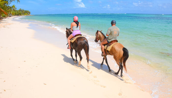 Scenic horse riding experience on the beach, with riders trotting along the shoreline, the gentle waves lapping at their feet, and the sun setting in the background, creating a tranquil and picturesque coastal adventure.