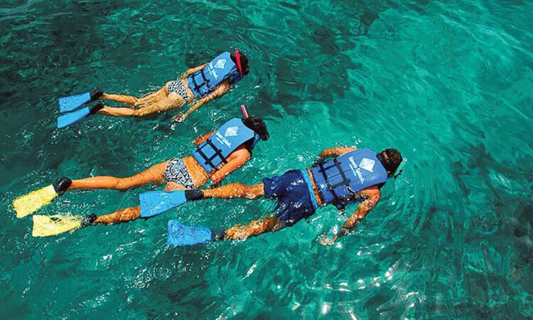 Exciting aquatic adventure featuring a combination of sailing splash activities, speed boat rides, snorkeling explorations, and relaxing catamaran cruises, offering a diverse range of experiences on the water with vibrant marine life and stunning ocean views