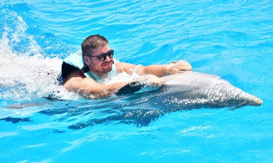 Memorable dolphin swim experience, with participants interacting closely with friendly dolphins in a controlled, shallow-water environment, enjoying the unique opportunity to swim, play, and bond with these intelligent marine animals