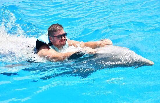 caption Memorable dolphin swim experience, with participants interacting closely with friendly dolphins in a controlled, shallow-water environment, enjoying the unique opportunity to swim, play, and bond with these intelligent marine animals