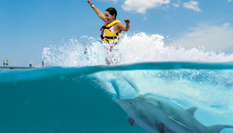 Memorable dolphin swim experience, with participants interacting closely with friendly dolphins in a controlled, shallow-water environment, enjoying the unique opportunity to swim, play, and bond with these intelligent marine animals.