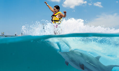 Memorable dolphin swim experience, with participants interacting closely with friendly dolphins in a controlled, shallow-water environment, enjoying the unique opportunity to swim, play, and bond with these intelligent marine animals.