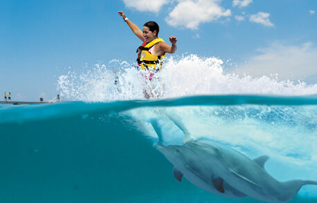 Memorable dolphin swim experience, with participants interacting closely with friendly dolphins in a controlled, shallow-water environment, enjoying the unique opportunity to swim, play, and bond with these intelligent marine animals.