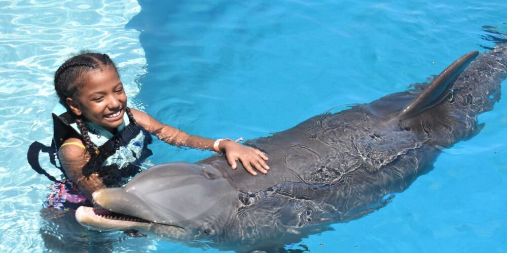 Memorable dolphin swim experience, with participants interacting closely with friendly dolphins in a controlled, shallow-water environment, enjoying the unique opportunity to swim, play, and bond with these intelligent marine animals