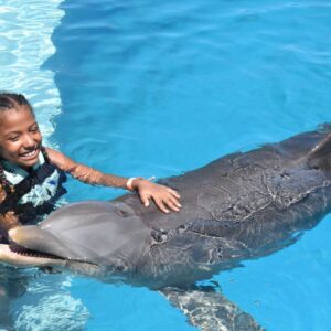 Memorable dolphin swim experience, with participants interacting closely with friendly dolphins in a controlled, shallow-water environment, enjoying the unique opportunity to swim, play, and bond with these intelligent marine animals