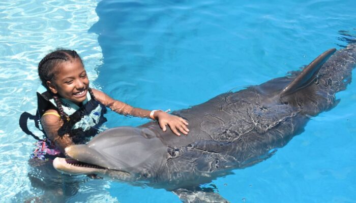 Memorable dolphin swim experience, with participants interacting closely with friendly dolphins in a controlled, shallow-water environment, enjoying the unique opportunity to swim, play, and bond with these intelligent marine animals