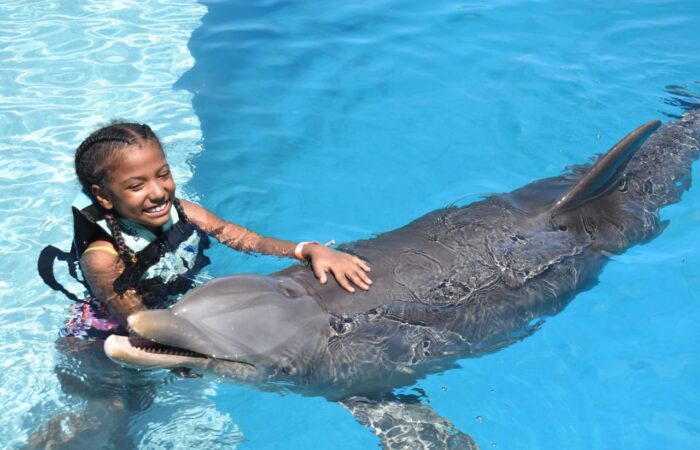 ea5b1f91-faf2-4f42-b8ba-f32465d8bd6c Memorable dolphin swim experience, with participants interacting closely with friendly dolphins in a controlled, shallow-water environment, enjoying the unique opportunity to swim, play, and bond with these intelligent marine animals