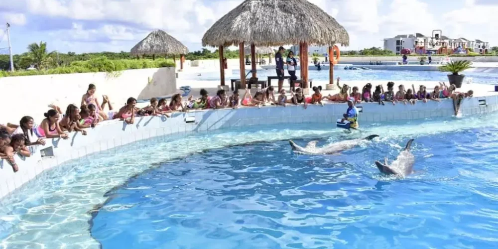 Memorable dolphin swim experience, with participants interacting closely with friendly dolphins in a controlled, shallow-water environment, enjoying the unique opportunity to swim, play, and bond with these intelligent marine animals.