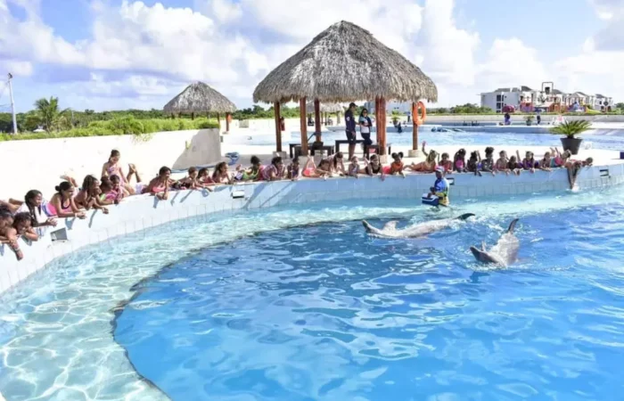Memorable dolphin swim experience, with participants interacting closely with friendly dolphins in a controlled, shallow-water environment, enjoying the unique opportunity to swim, play, and bond with these intelligent marine animals.