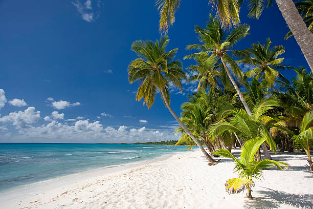 Saona Island Tour Punta Cana