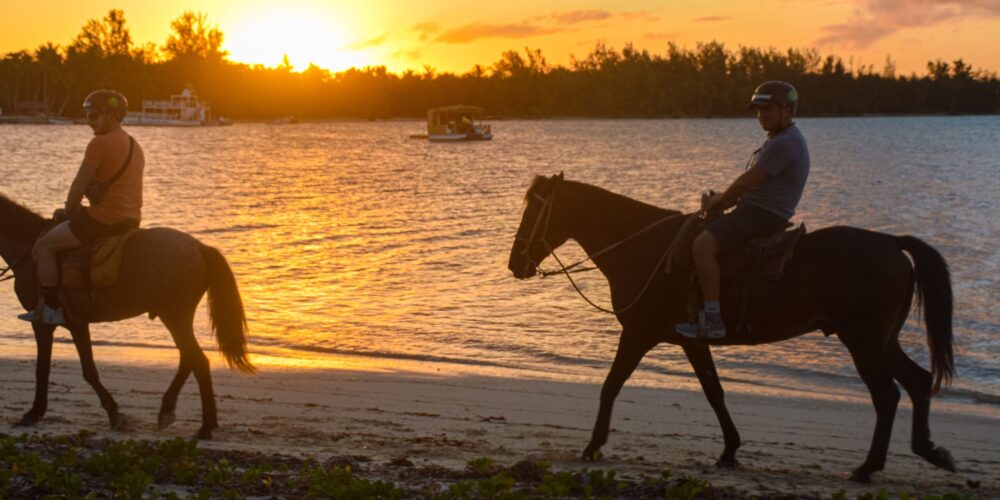 Scenic horse riding experience on the beach, with riders trotting along the shoreline, the gentle waves lapping at their feet, and the sun setting in the background, creating a tranquil and picturesque coastal adventure.