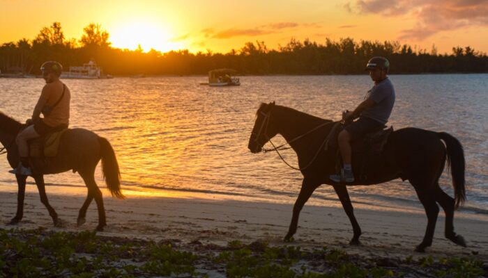 Scenic horse riding experience on the beach, with riders trotting along the shoreline, the gentle waves lapping at their feet, and the sun setting in the background, creating a tranquil and picturesque coastal adventure.