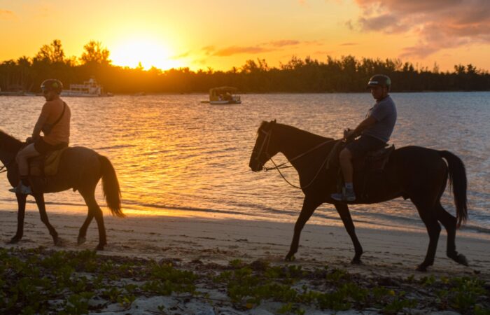 Scenic horse riding experience on the beach, with riders trotting along the shoreline, the gentle waves lapping at their feet, and the sun setting in the background, creating a tranquil and picturesque coastal adventure.
