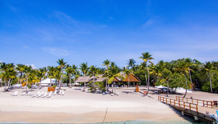 Sunbathers and beachgoers enjoying the pristine white sands and crystal-clear waters of Catalina Beach, relaxing under umbrellas, swimming, and engaging in beach activities in a picturesque tropical setting.