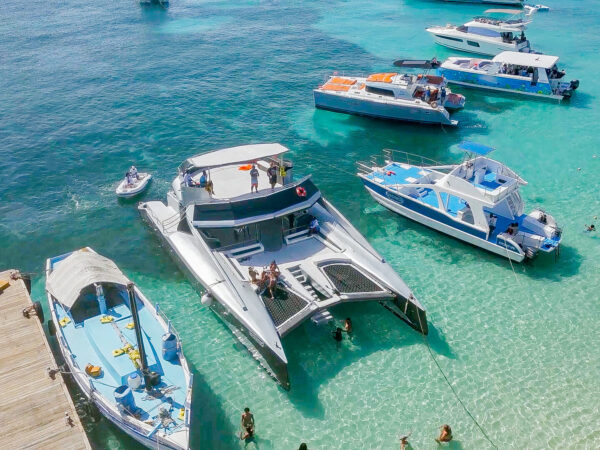 Luxurious top-rated catamaran boat, featuring sleek design and spacious deck with comfortable seating, ideal for a premium sailing experience. Guests enjoy panoramic ocean views and high-quality amenities on board