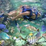 Participants snorkeling in clear, turquoise waters, wearing masks and snorkels to explore vibrant coral reefs and colorful marine life, enjoying an underwater adventure in a tropical setting.