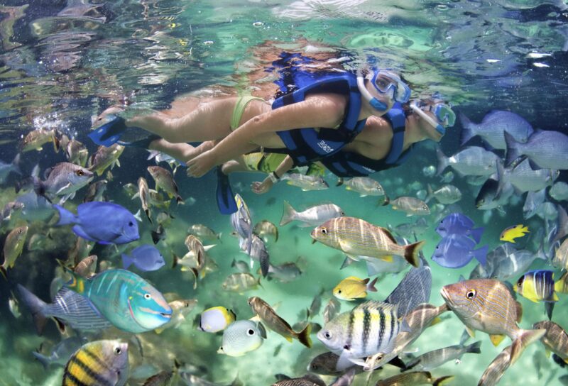 Participants snorkeling in clear, turquoise waters, wearing masks and snorkels to explore vibrant coral reefs and colorful marine life, enjoying an underwater adventure in a tropical setting.