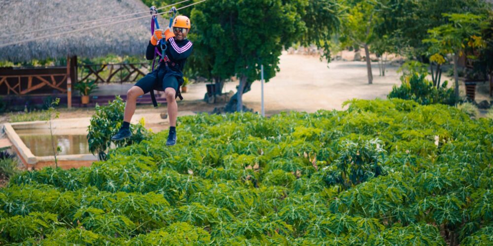 Exciting zipline adventure, with participants soaring through the treetops on secure zip lines, enjoying panoramic views and the thrill of gliding over lush landscapes