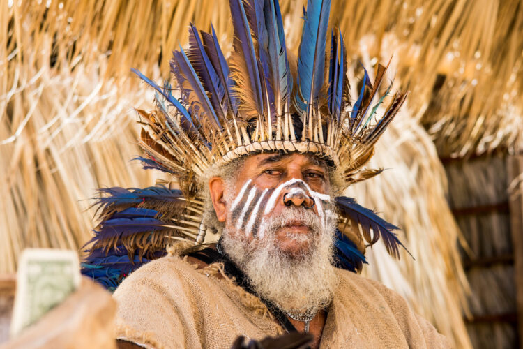 Informative Taíno History Presentation, featuring engaging displays and storytelling about the indigenous Taíno people, their culture, traditions, and historical significance in the Caribbean.