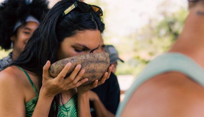 Educational cacao presentation, showcasing the process of transforming cacao beans into chocolate, with detailed displays of cacao pods, beans, and the stages of production, providing insights into the origins and craft of chocolate-making.