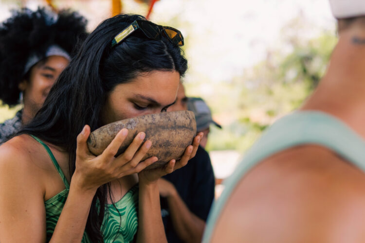 Educational cacao presentation, showcasing the process of transforming cacao beans into chocolate, with detailed displays of cacao pods, beans, and the stages of production, providing insights into the origins and craft of chocolate-making.