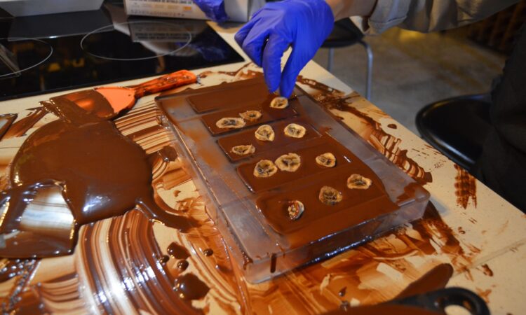 Hands-on Chocolate Master Class, teaching participants how to craft rich, artisanal chocolate from cacao beans, with techniques for tempering, molding, and flavoring.